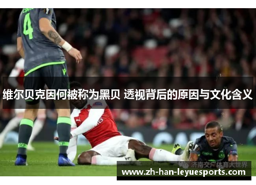 维尔贝克因何被称为黑贝 透视背后的原因与文化含义