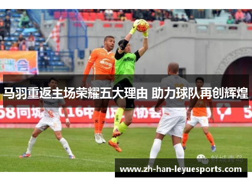 马羽重返主场荣耀五大理由 助力球队再创辉煌