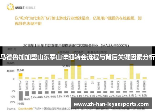 马德鲁加加盟山东泰山详细转会流程与背后关键因素分析